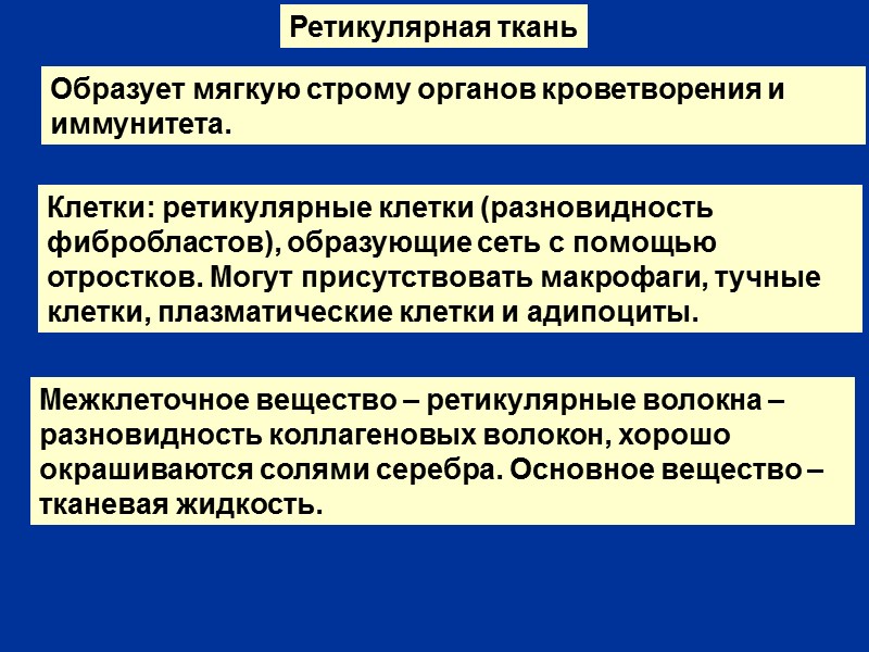 Ретикулярная ткань Клетки: ретикулярные клетки (разновидность фибробластов), образующие сеть с помощью отростков. Могут присутствовать